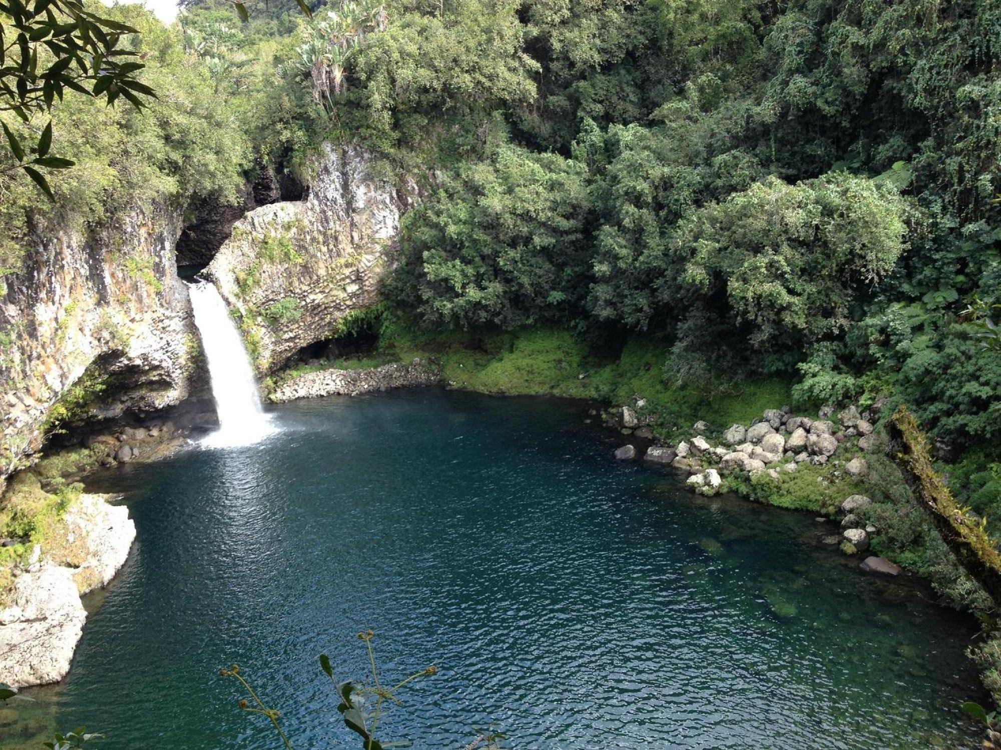Le Beau Vallon 1- Jacuzzi Privatif Et Piscine Chauffee Partagee Saint-Benoît Extérieur photo